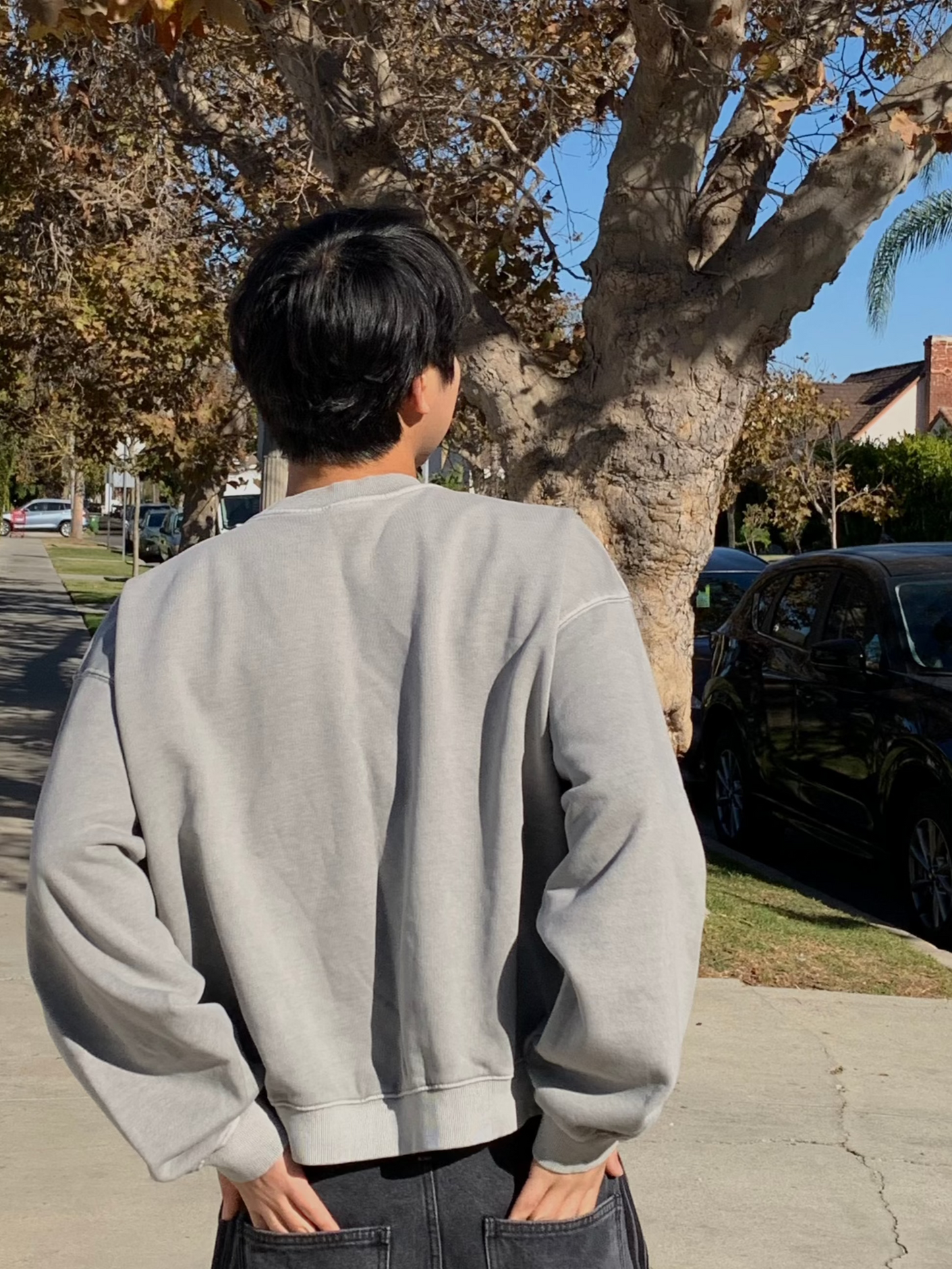 WASHED CROP SWEATSHIRT